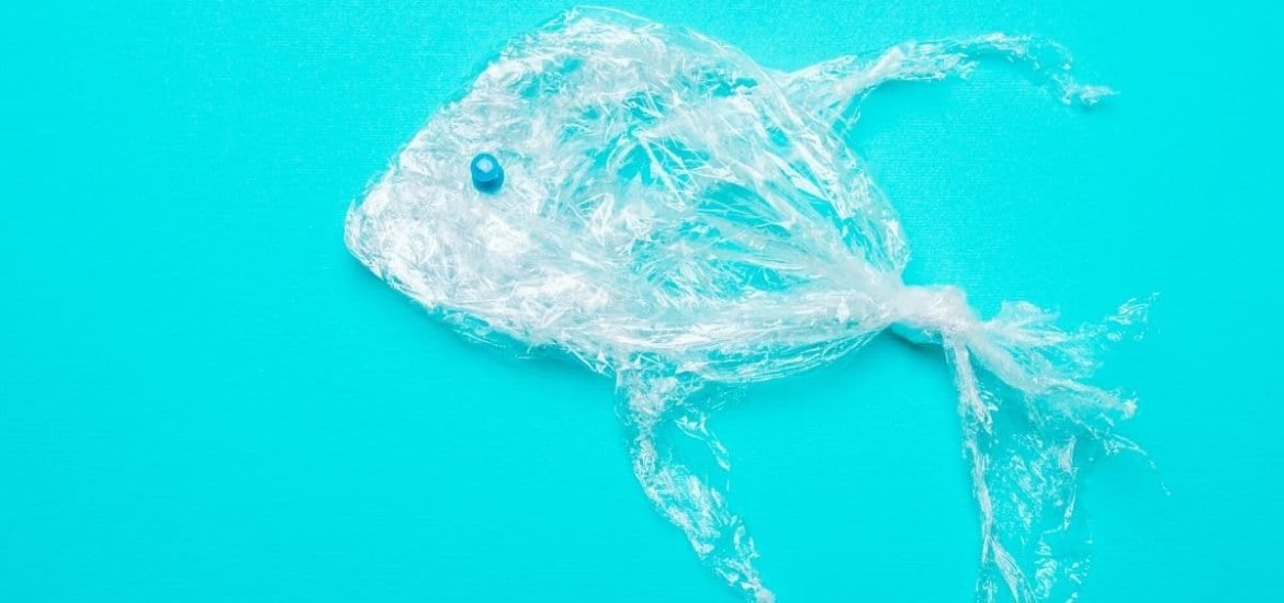 Prey-sized microplastics in ocean nurseries outnumber fish seven to one