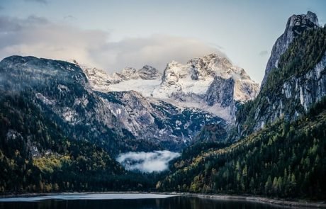 Klimawandel stört vitale Ökosysteme in den Alpen