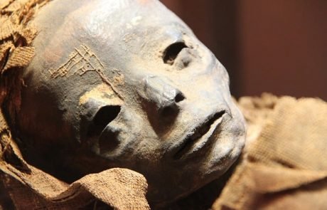 Balsamier-Flüssigkeit der alten Ägypter stammte womöglich aus Asien