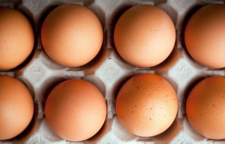 World’s first no-kill eggs are making their way onto supermarket shelves in Germany