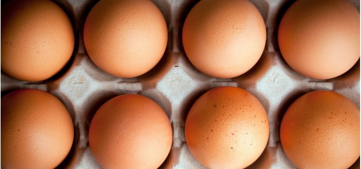 World’s first no-kill eggs are making their way onto supermarket shelves in Germany