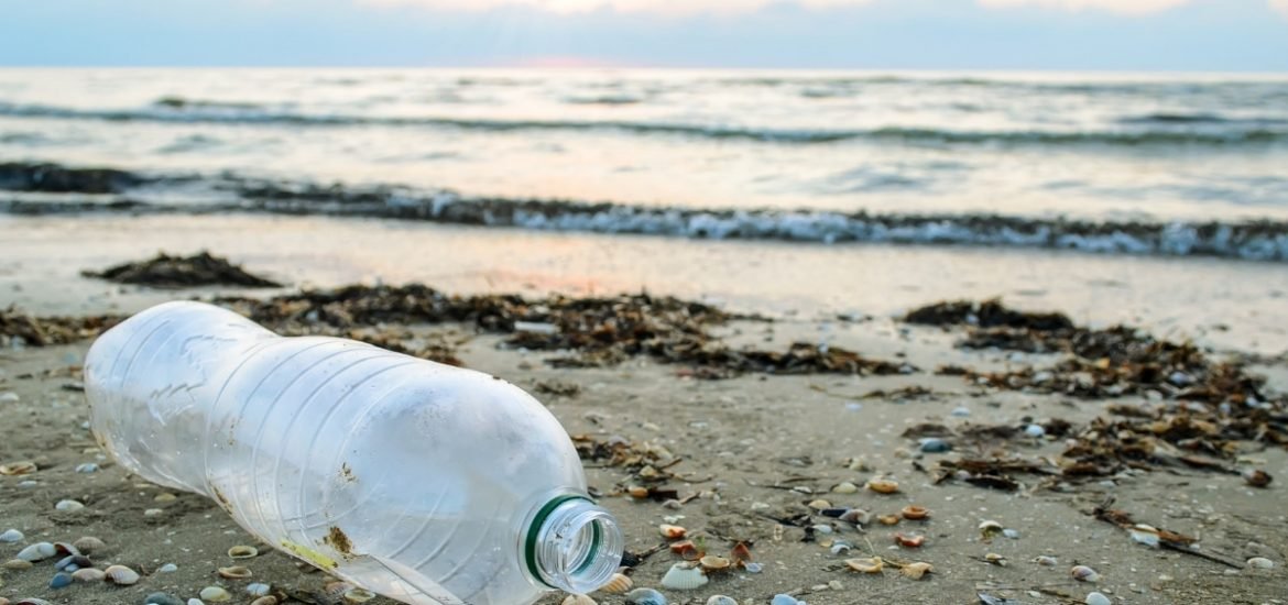 The increase in ocean plastic pollution documented over six decades