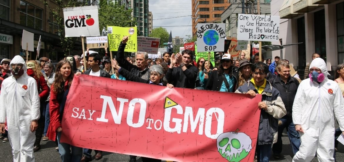 Do extreme opponents of genetically modified foods know all the facts?
