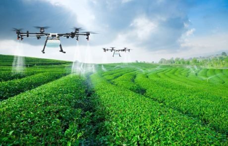 AGR-AI, AI at the cutting edge of the living world (Part 1)