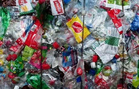 Mikroplastik erstmals im Menschen nachgewiesen