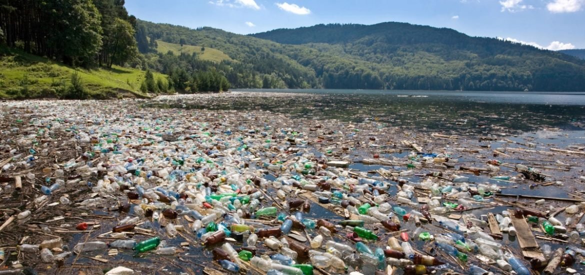 Can plastic-eating bacteria help solve the plastic pollution problem?