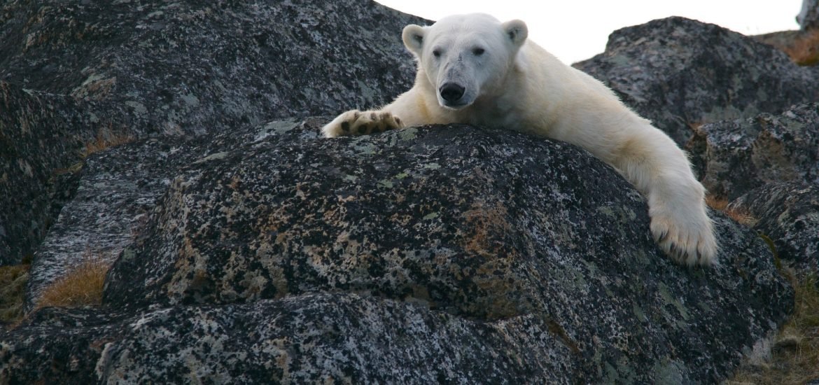 New research shows how global warming could be kept at 1.5°C