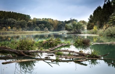 Many European lakes and rivers have water quality issues