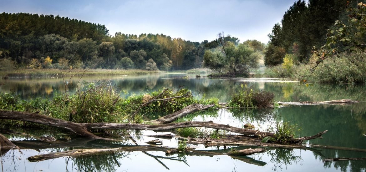 Many European lakes and rivers have water quality issues