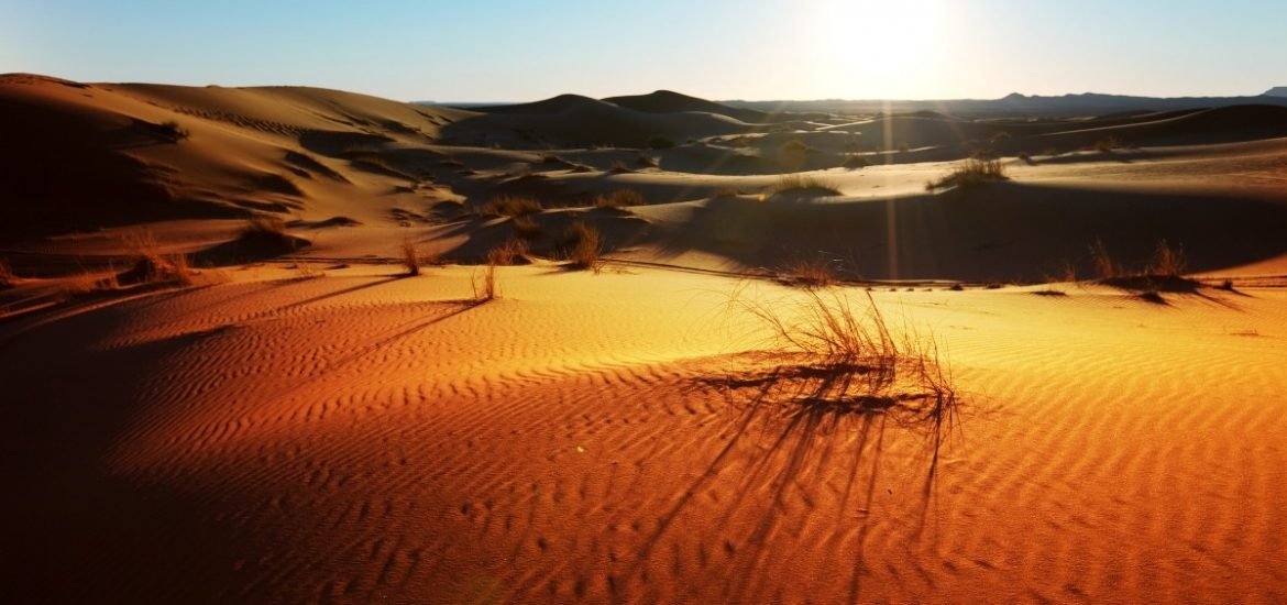 Large-scale wind and solar farms would bring more rain to the Sahara