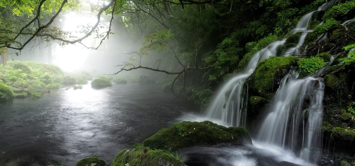 La continuité écologique… le mythe de la rivière naturelle ?