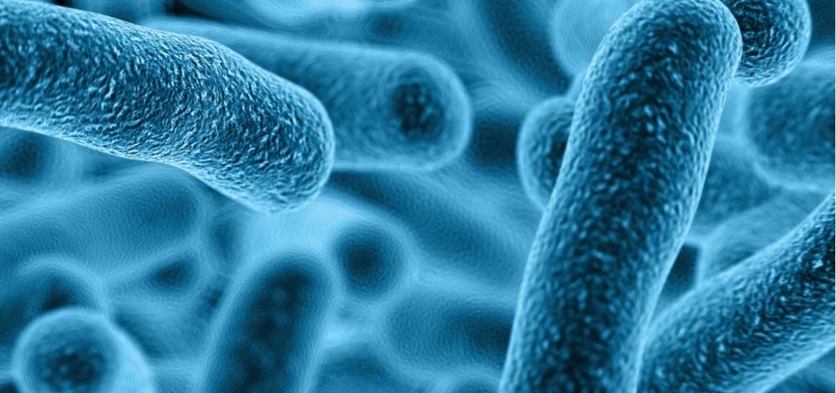 Scientists may have found a new weapon to combat superbugs