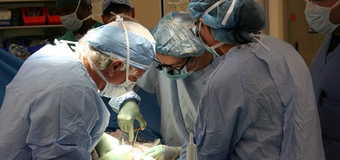 US-Medizinier transplantieren erfolgreich Schweineherz an US-Amerikaner