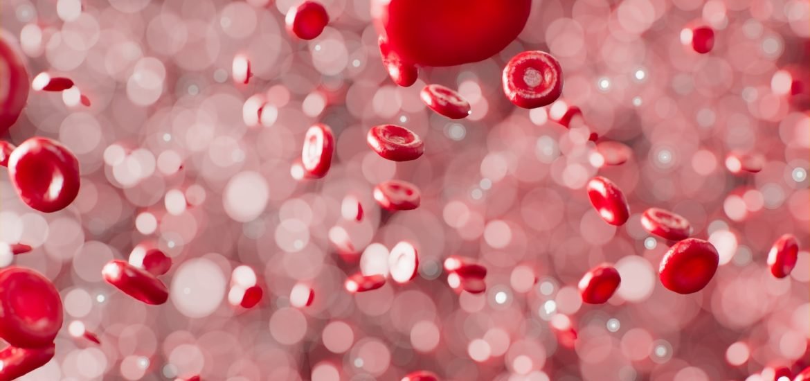 Forscher entdecken neuen Bestandteil im Blut