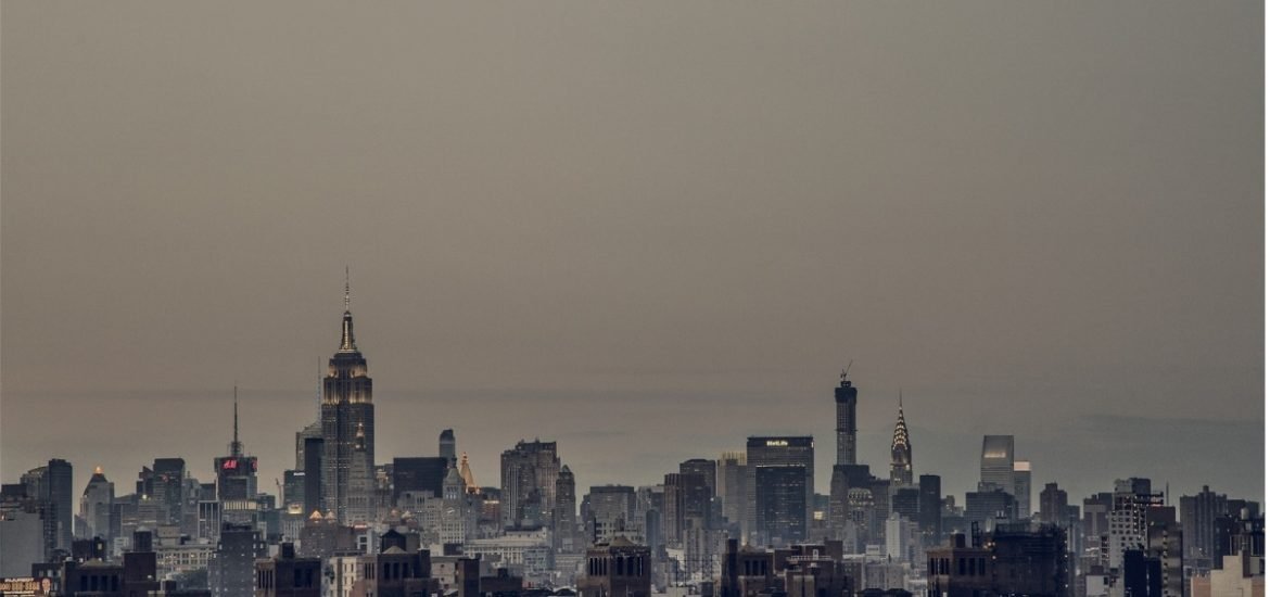 Urban pollution is having cascading effects on plant and insect ecosystems