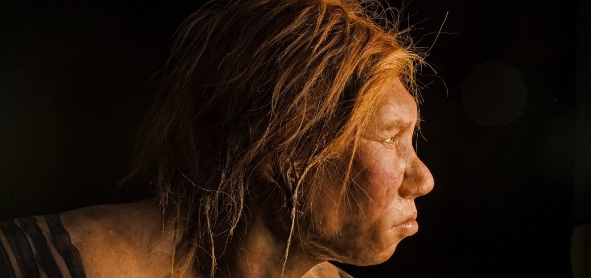 Scientists successfully rebuilt the complete genome of a Neandertal female