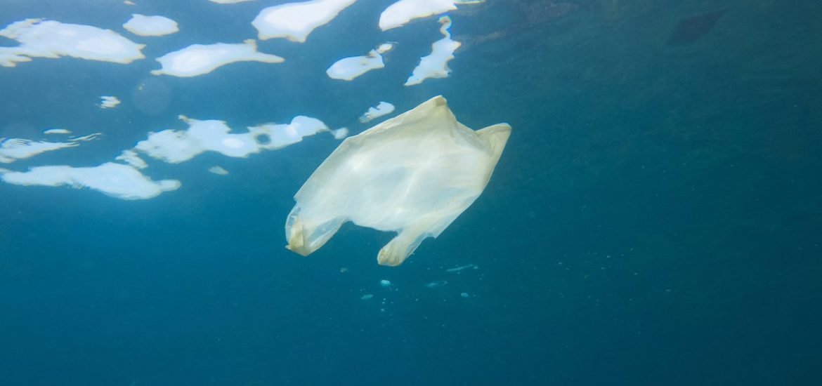 Un premier succès pour la politique européenne de réduction des déchets plastiques