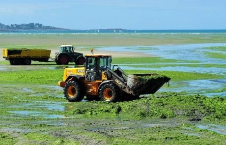 Quel bilan pour la politique européenne de réduction du recours nitrates ?