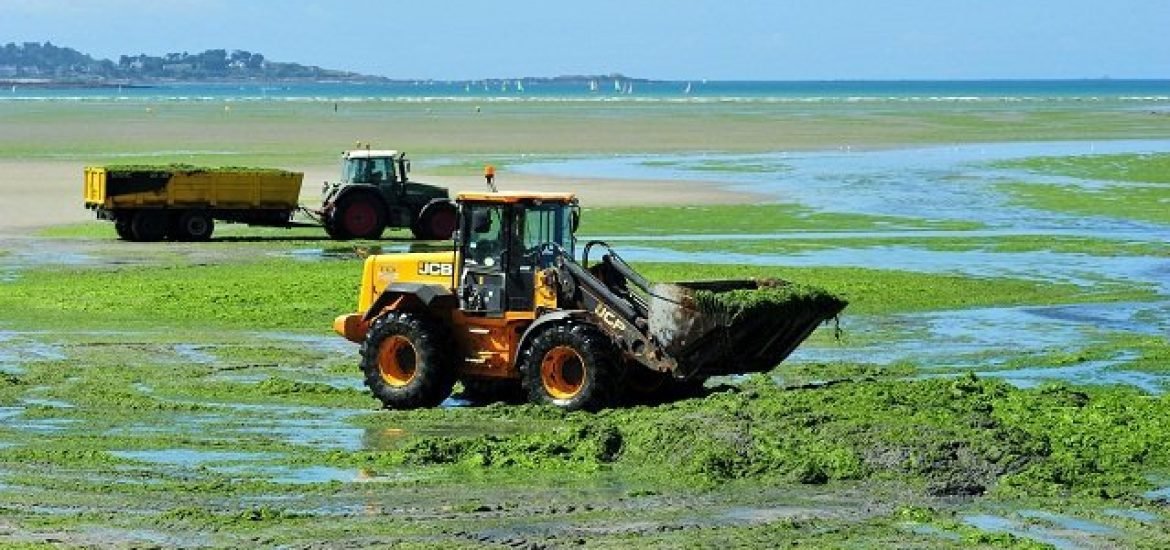 Quel bilan pour la politique européenne de réduction du recours nitrates ?