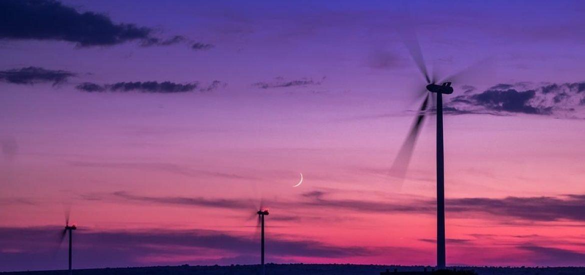 L’éolien en Europe, c’est de la folie ; l’éolien en mer, c’est de la folie furieuse.