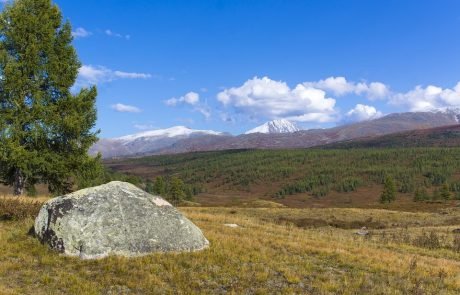 European forests have been divided in two over the last 6 000 years