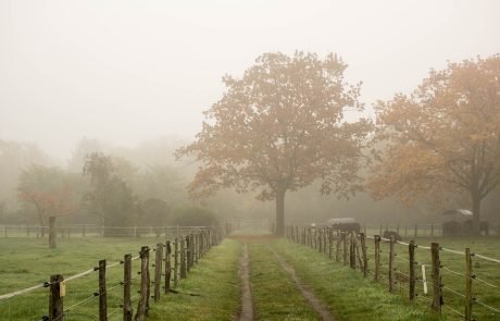 Garantir des  des approvisionnements agricoles éco-responsables