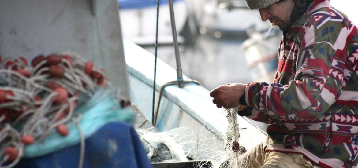 Le Conseil de l’agriculture et de la pêche augmente les quotas limitatifs pour 2018