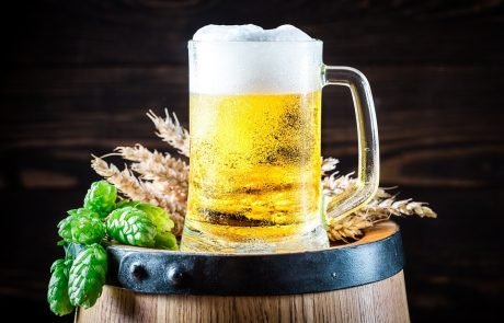 Bristol scientists found a way to convert beer into fuel