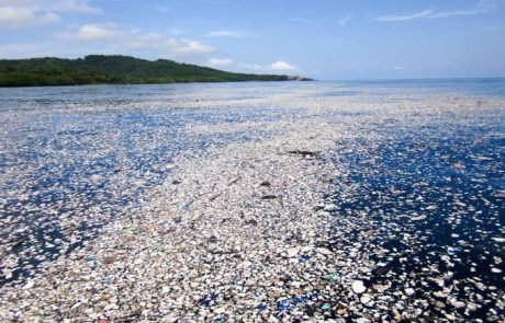 Le « continent de plastique » représente trois fois la taille de la France