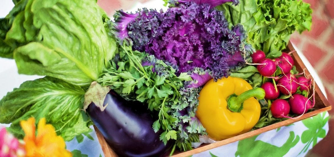 Climate change could reduce vegetable production by a third