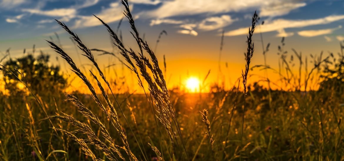 Fin du Salon, fin de l’agriculture ?