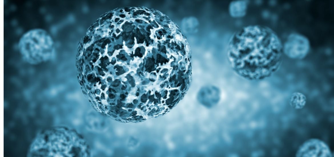 Could harmful elements of the Zika virus be harnessed to combat cancer?
